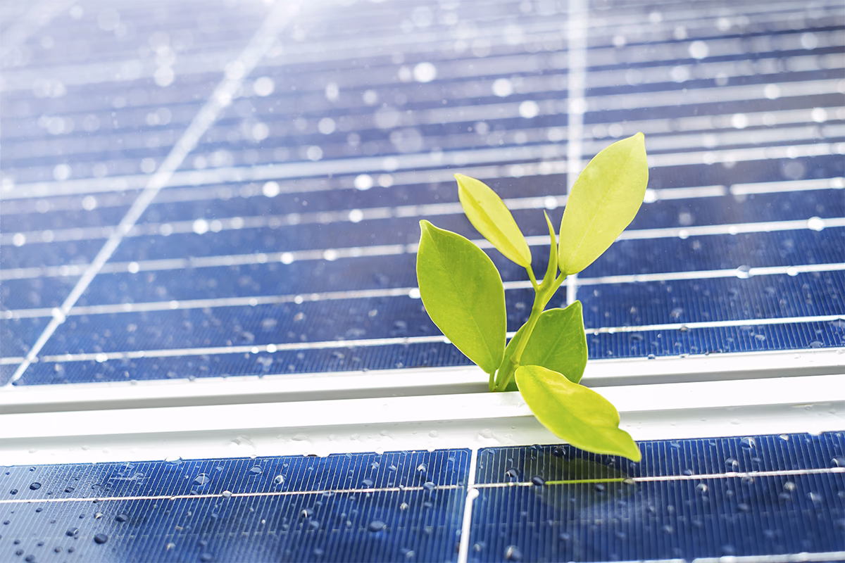 ¿Cómo afectan los paneles solares al medio ambiente?