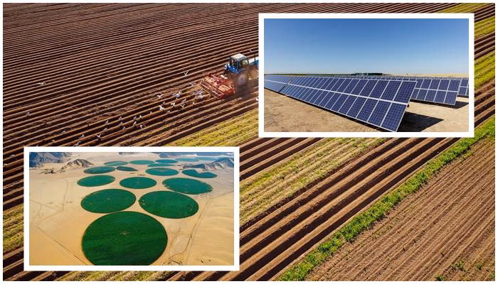 ¿Cómo afecta la radiación solar a los cultivos?