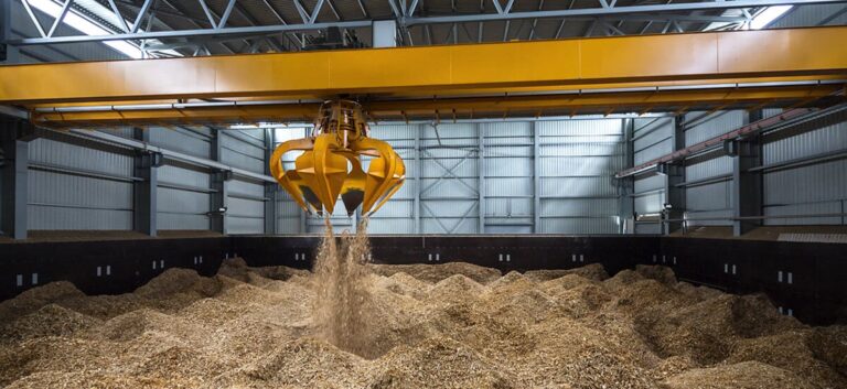 Eficiencia y Potencial de la Energía de Biomasa