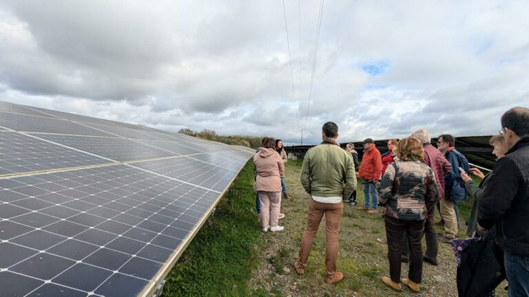 Energía Solar en México: Los Estados Líderes
