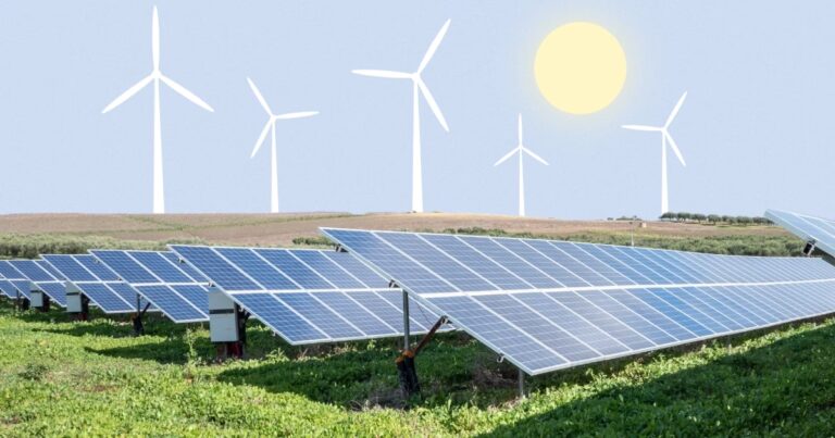 Bioenergía: La Energía del Futuro Rural