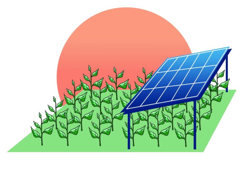 Ayudas para Paneles Solares: ¿Siguen Vigentes?