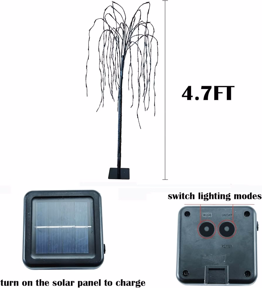 What is special about the willow tree?