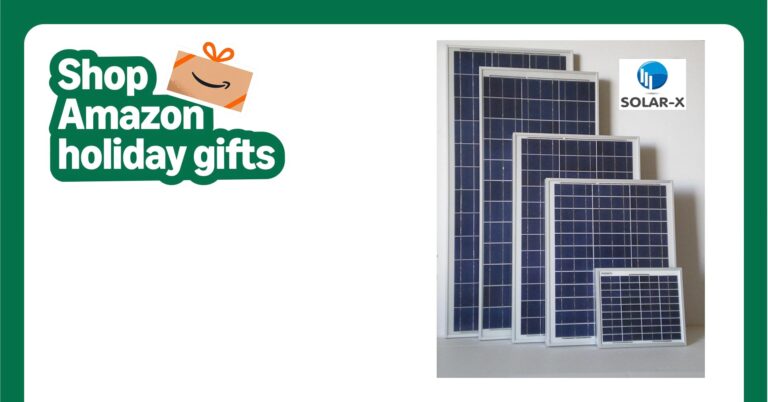 Paneles Maxeon: ¿Valen su Precio Superior?