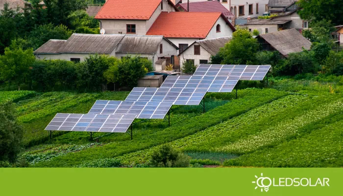 La Zona Solar del Océano: Vida Amenazada